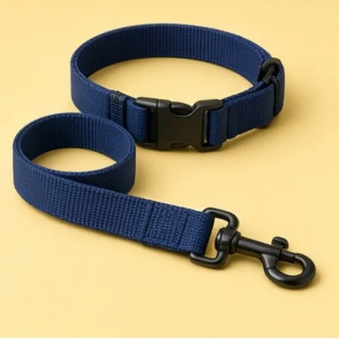Nylon Leash & Collar Set